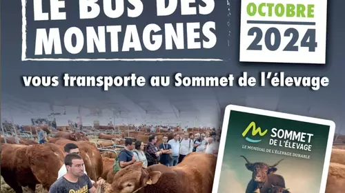 LE BUS DES MONTAGNES